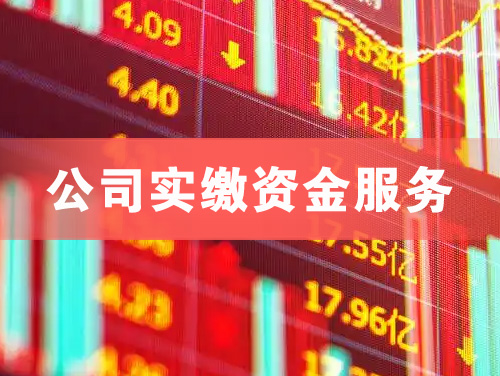 广安公司实缴资金服务