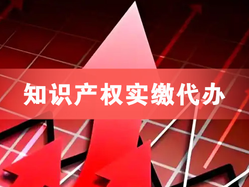 广安知识产权实缴资本代办